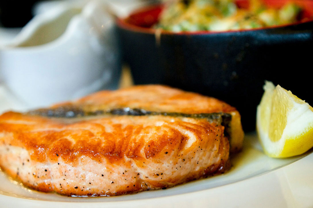 salmone salmone